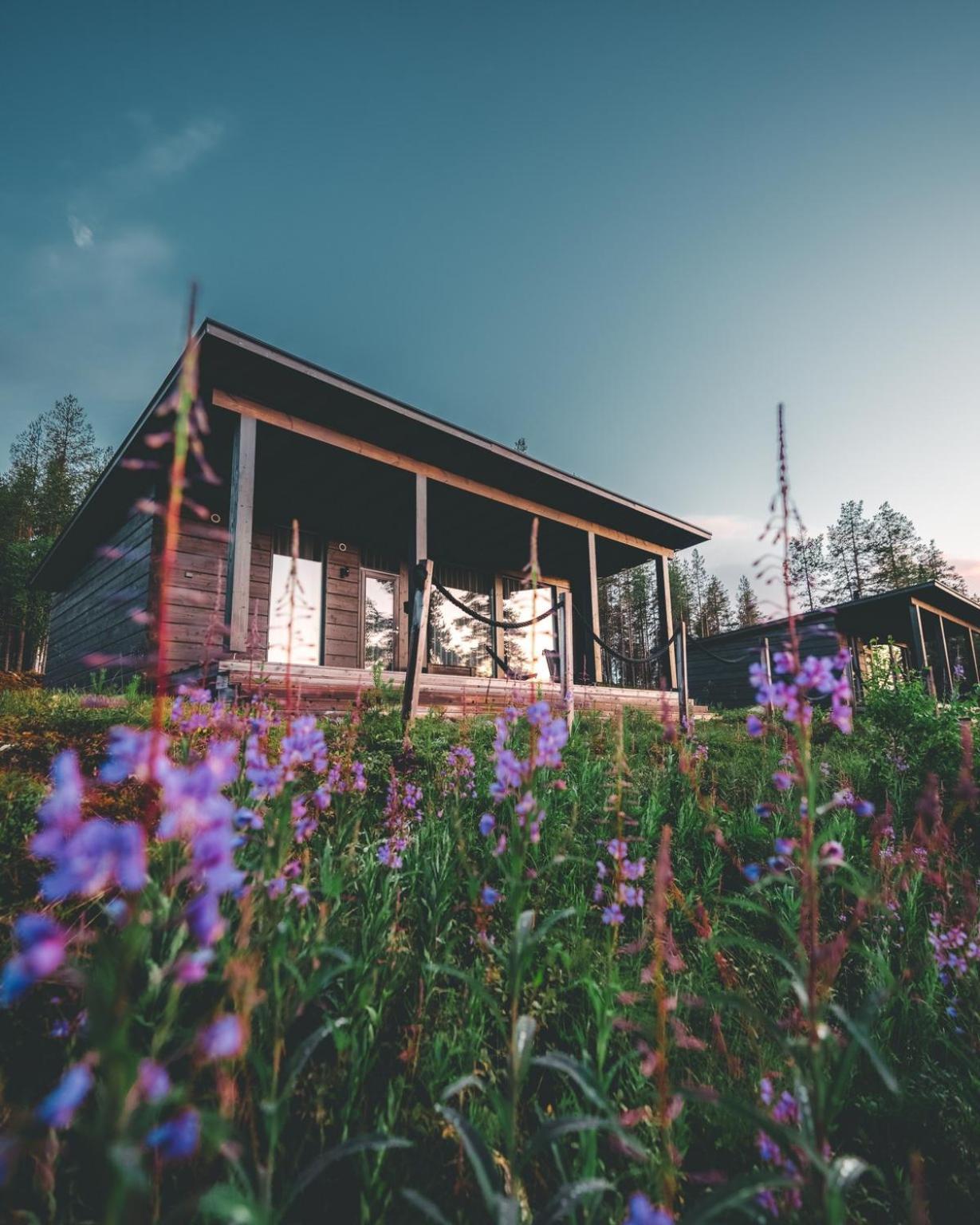 Arctic Treehouse Hotel Rovaniemi Exterior photo